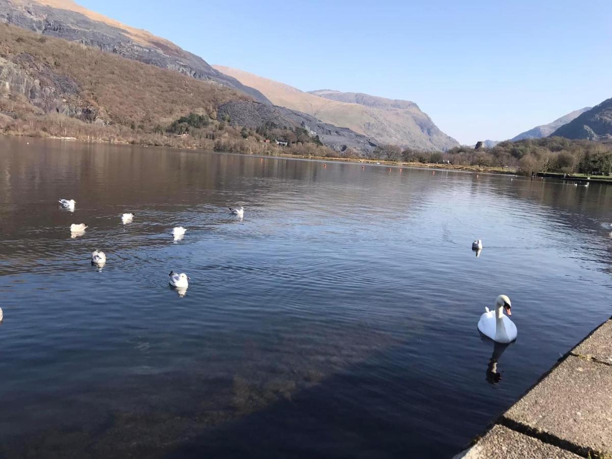 Llanberis Lodges Екстериор снимка